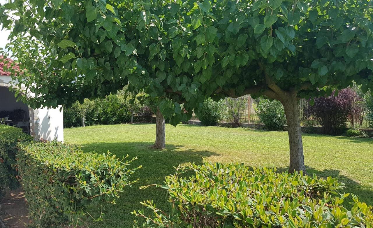 Silver Villa Raches Maisonette & Green Kouvéla Екстериор снимка