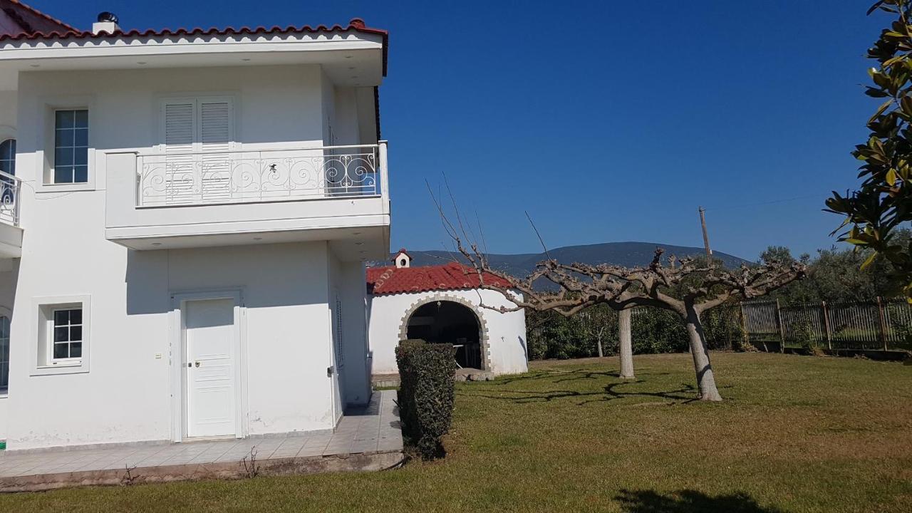 Silver Villa Raches Maisonette & Green Kouvéla Екстериор снимка